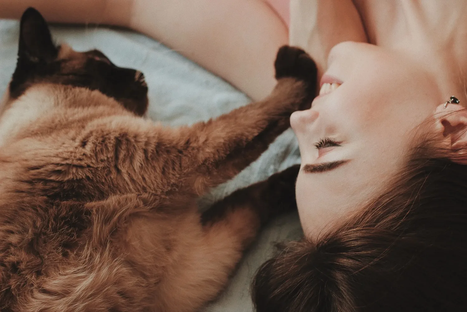 why do cats sleep above your head?