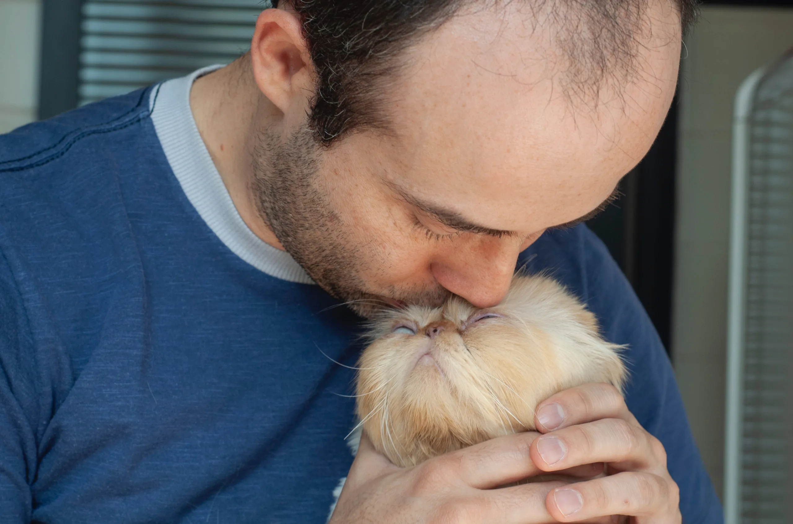 do cats know what kisses are
